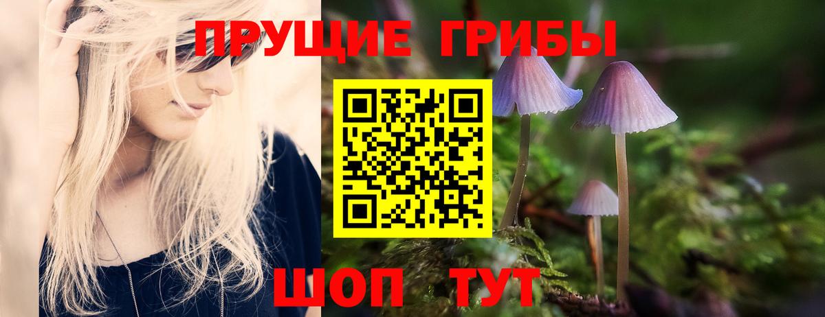 Псилоцибиновые грибы Magic Shrooms  Вход с VPN  купить закладку  Анапа  Галлюциногенные грибы мухоморы 